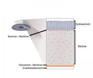 Aufbau der Hornhaut